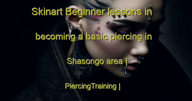 Skinart Beginner lessons in becoming a basic piercing in Shasongo area | PiercingTraining | PiercingClasses | SkinartTraining-the Democratic Republic of the Congo